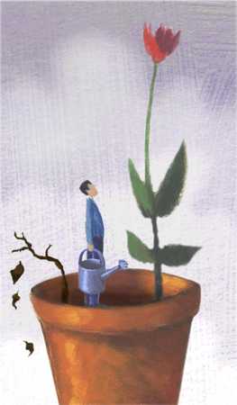 seeds for success image